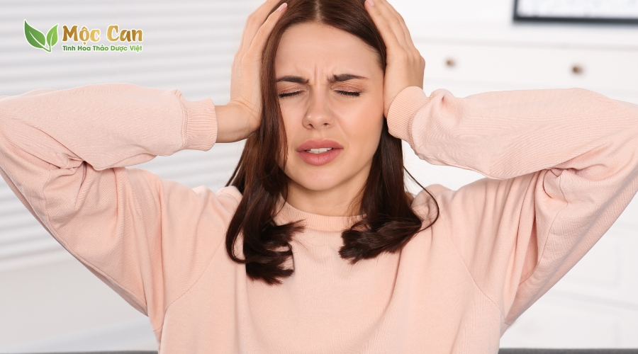 RAU NGẢI CỨU CHỮA RỐI LOẠN TIỀN ĐÌNH ĐƯỢC KHÔNG? 1